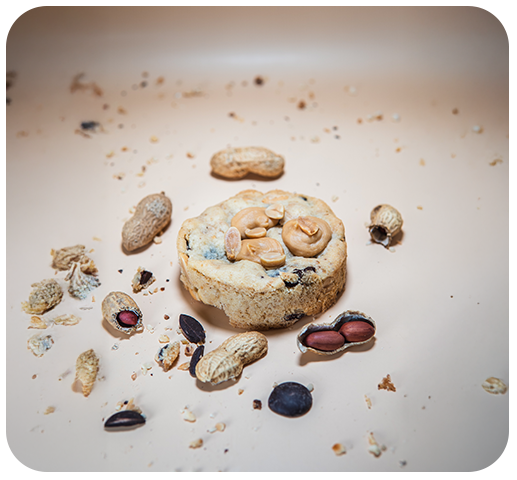 Cookie entouré de pépites de chocolat et fruits secs